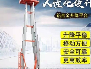 雙桅鋁合金升降機(jī)   生產(chǎn)廠家